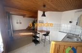 XIM161, Vente appartement rénové , type studio duplex vendu avec une cave
